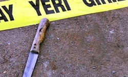 Baba ve oğluna bıçakla saldırdı