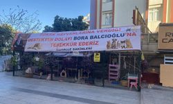 Balcıoğlu'nun kedi hassasiyeti