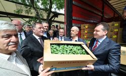 İBB Silivri'de fide dağıttı