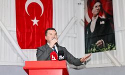 Balcıoğlu: Danamandıra yalnız değildir