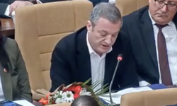 Demir: Romanlar'ı yok sayamayız