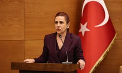 Aşkın: Yapamıyorsanız yardım edelim