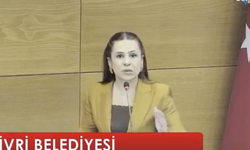 Aşkın: Günlük 3 milyon faiz işliyor