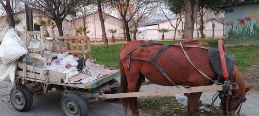 306 kg at eti ele geçirildi