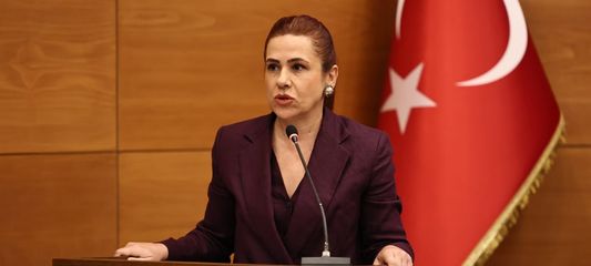 Aşkın: Yapamıyorsanız yardım edelim