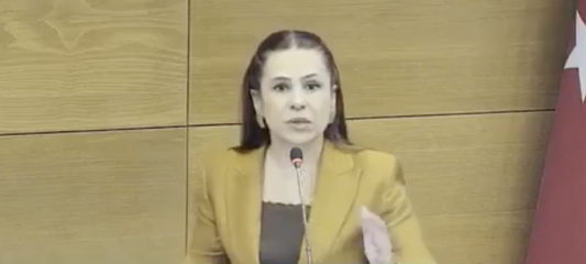 Aşkın: Günlük 3 milyon faiz işliyor