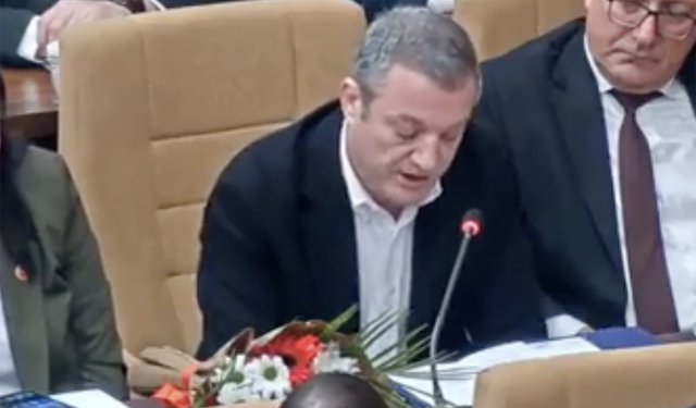 Demir: Romanlar'ı yok sayamayız