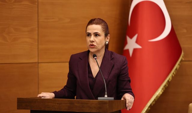 Aşkın: Yapamıyorsanız yardım edelim