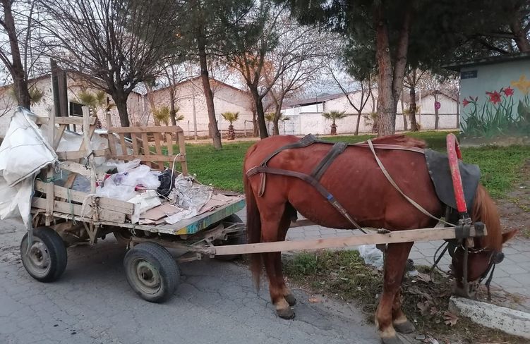 306 kg at eti ele geçirildi
