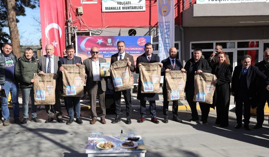 Milli ayçiçek tohumları ücretsiz dağıtılıyor