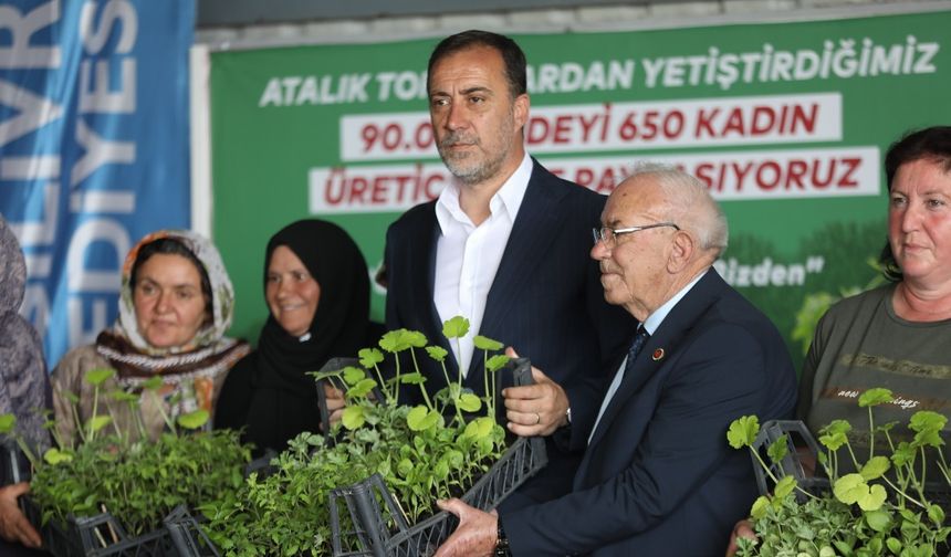 Silivri Belediyesi 650 kadına 90 bin fide dağıttı
