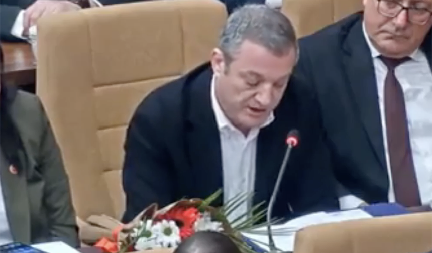 Demir: Romanlar'ı yok sayamayız